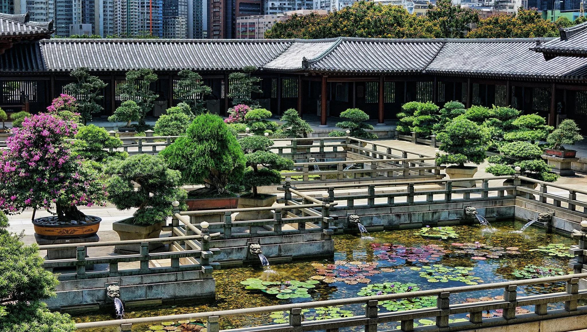 苦い銭('16仏/香港) The iconic Chi Lin Nunnery + Nan Lian Garden in Hong Kong — J3